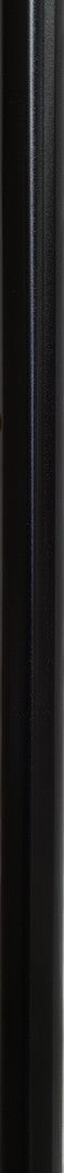 T-Shape Handle Cane – Black