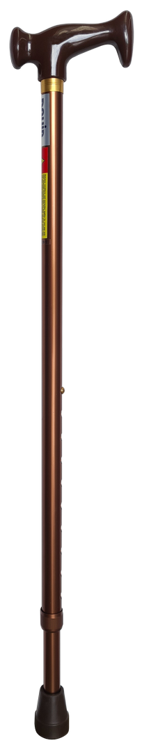 Elegant Handle Cane