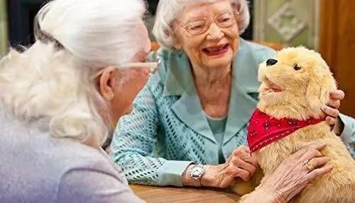 Interactive Companion Pet