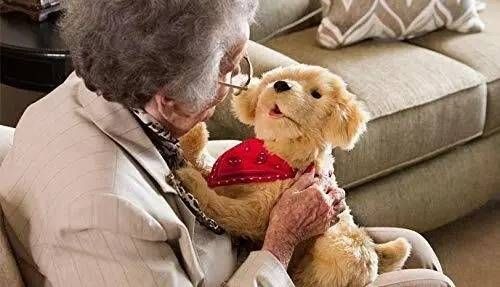 Interactive Companion Pet