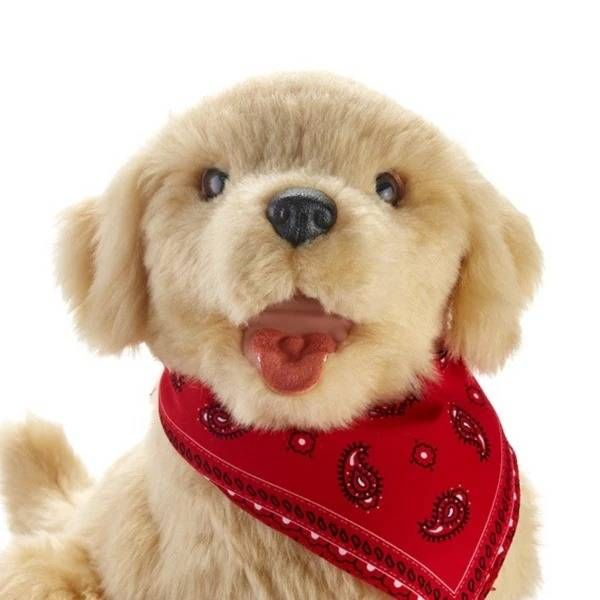 Interactive Companion Pet