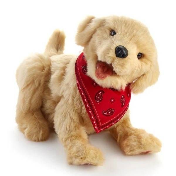 Interactive Companion Pet