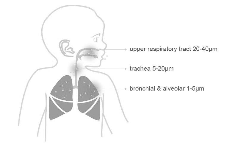 Mesh Nebuliser Portable - WyMedical