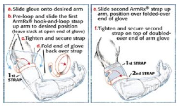 Single Arm Glove XXL - ArmRx