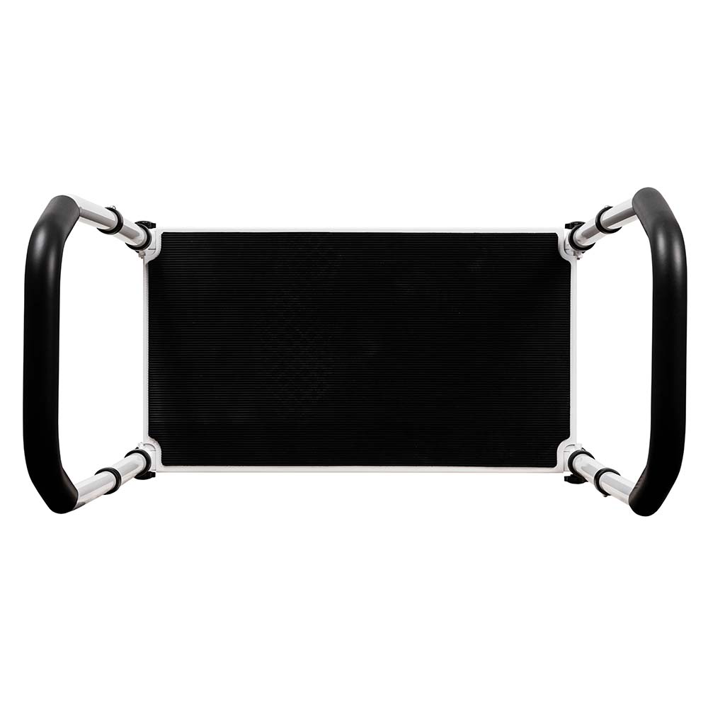 Step Up Stool with Handrails